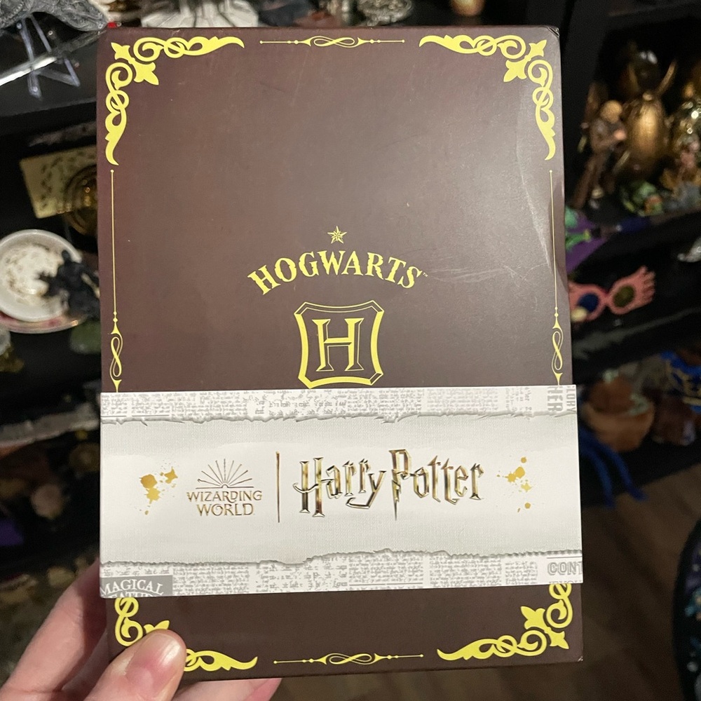 Harry Potter Acrylic Art Decor